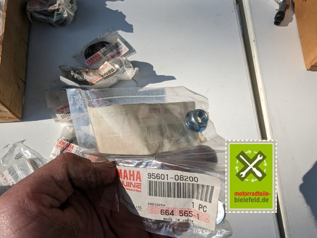 PXL_20240528_160115452